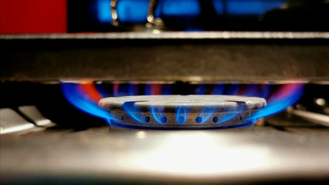 (P) Viitorul electric va mai aştepta un pic