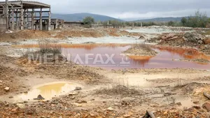 CE a lansat două proceduri de infringement împotriva României pe probleme de mediu