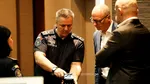 Vizită oficială în România a unei delegații Frontex. Discuțiile au vizat implicarea în proiectele europene