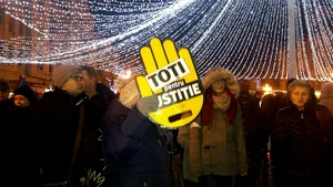 Dosare penale pentru instigare publică, întocmite de poliţiştii din Timiş, în urma unor postări pe Facebook legate de protestele faţă de Legile Justiţiei