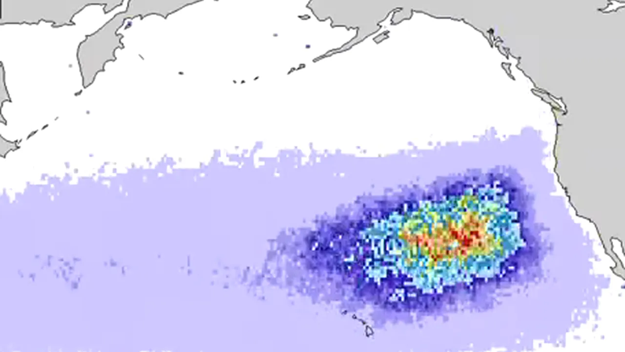 Statele Unite, lovite de 25 de milioane de tone de resturi de la tsunami-ul din Japonia. Cum va arăta harta SUA în următorii ani - VIDEO