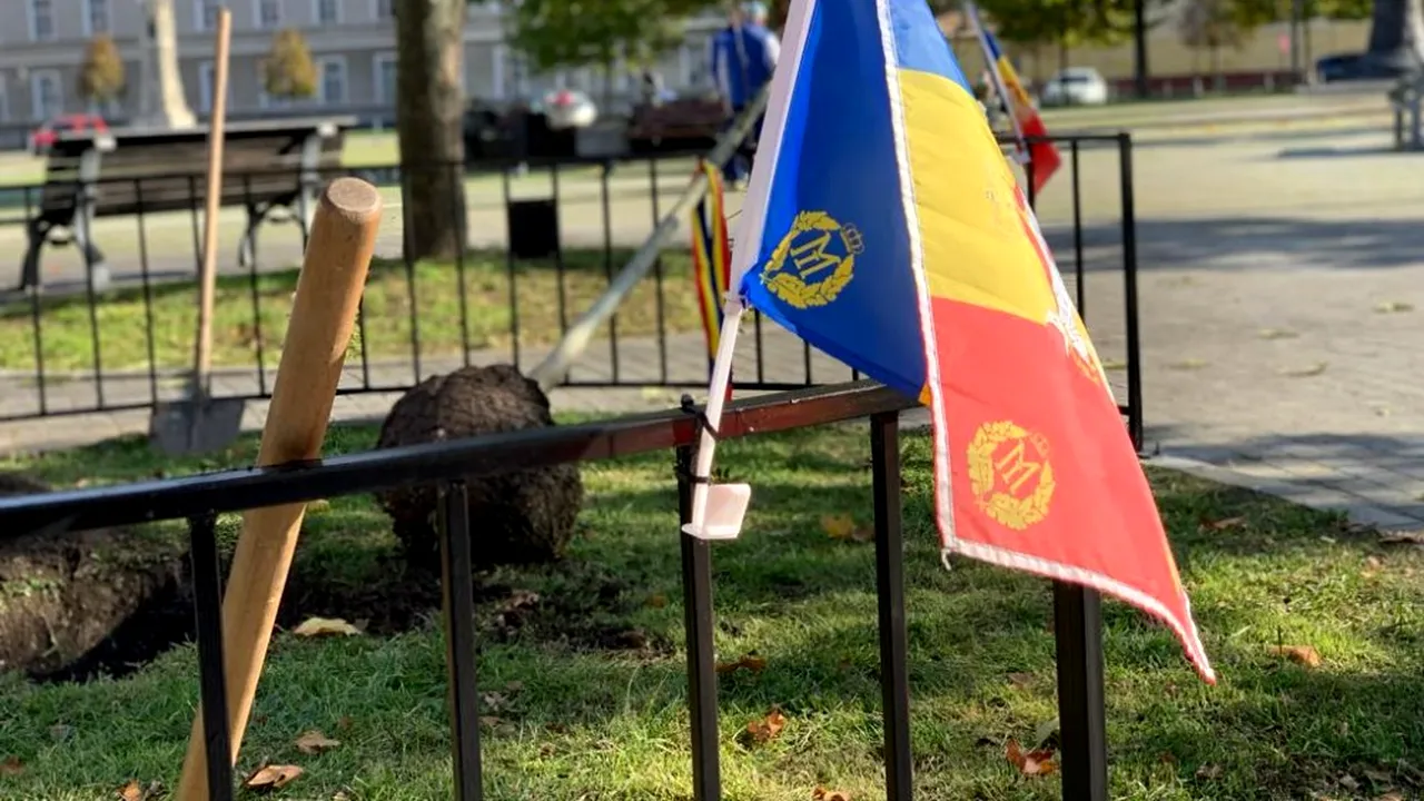 COMENTARIU Marius Oprea: În ”grădina lumii” s-a născut un suflet din trei stejari