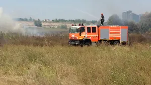 FOTO | INCENDIUL de vegetaţie din Delta Văcăreşti a fost stins