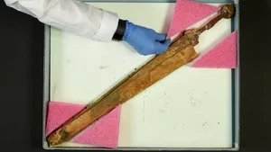 Patru săbii romane vechi de aproape 2.000 de ani, descoperite într-o peşteră din deşertul Iudeii
