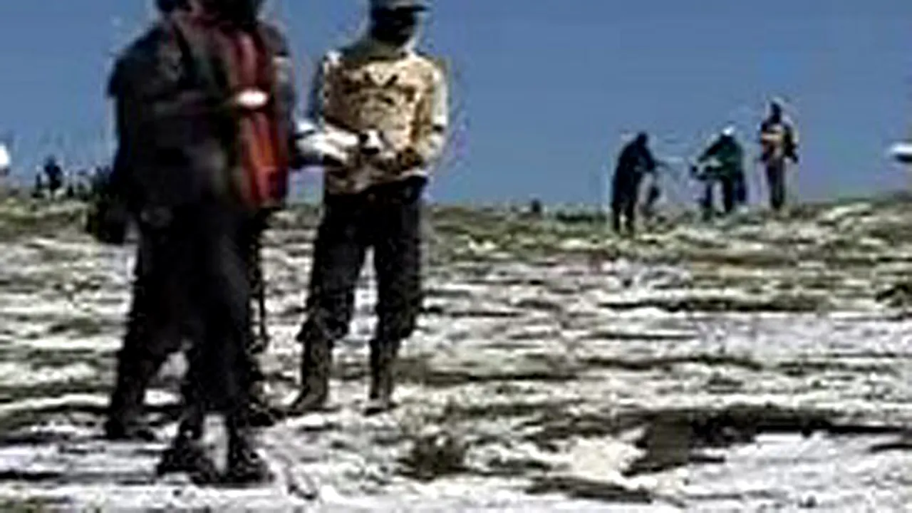 Kenya: Căderile de grindină provoacă îngrijorare în rândul locuitorilor (Video)