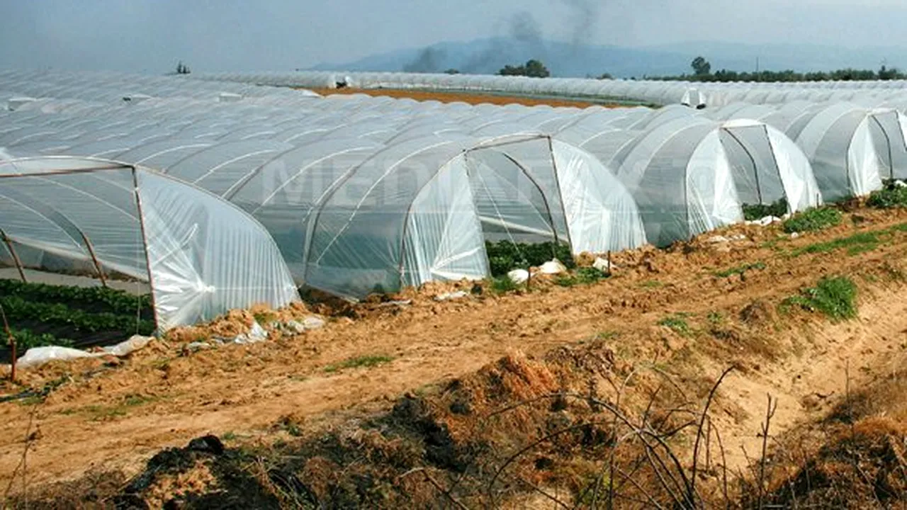 Ministerul Agriculturii a lansat Reţeaua Naţională de Dezvoltare Rurală, prin care fermierii învaţă să depună proiecte 
