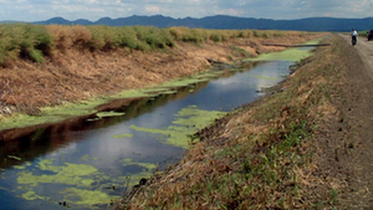 Romanian President Pushes For A Modern Irrigation System As Of 2010