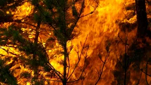 Incendiu puternic în Masivul Postăvarul. Pompierii cară apă cu bidoanele pentru stingerea flăcărilor