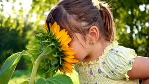 Lucruri inedite despre miros