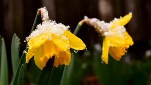 METEO. Vremea în România, în următoarele 4 săptămâni: temperaturile se schimbă în luna aprilie 