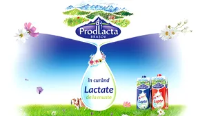 Producătorul de lactate Prodlacta Braşov a intrat în insolvenţă
