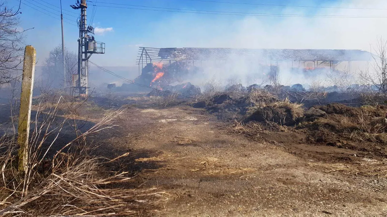 Incendiu PUTERNIC la un depozit de materiale de construcţii din Bacău. Pompierii au intervenit cu şase autospeciale | VIDEO