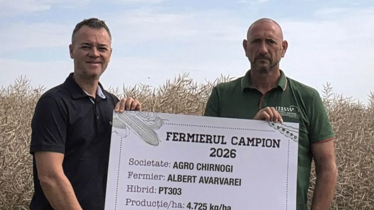 Fermierii campioni la rapiță din județele Călărași și Ialomița