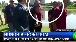 Euro 2016: Cristiano Ronaldo i-a aruncat microfonul unui reporter în lac - VIDEO
