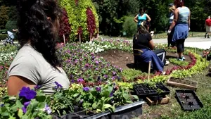 40 de mesteceni vor fi plantaţi în cartierul bucureştean Ghencea, cu ocazia Zilei Pământului