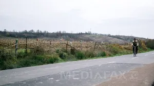 Contract de 27 milioane euro pentru modernizarea unui drum judeţean din Satu Mare