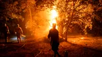 Câți bani primesc victimele afectate de incendiile devastatoare din Spania