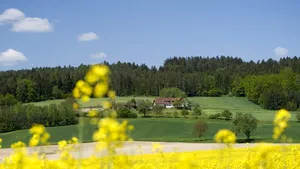 VREMEA va deveni predominant frumoasă. PROGNOZA METEO pentru vineri