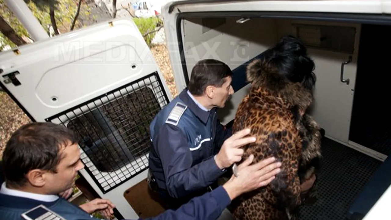 Avocata cetăţenilor americani Hassan şi Mehdi Awdi a fost arestată