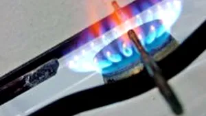 Romanian Household Natural Gas Prices Up 8.5% Feb 1