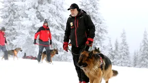 Iohannis a promulgat Legea câinilor salvamont, ce reglementează intervenţiile în caz de avalanşă