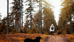 Aplicaţia care-ţi scoatele câinele la plimbare. Ideea de afacere care revoluţionează pet-sitting-ul, prezentată la Cluj