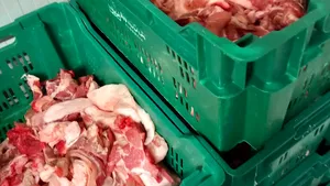 Produse expirate, carne depozitată necorespunzător și echipamente ruginite, descoperite de ANPC