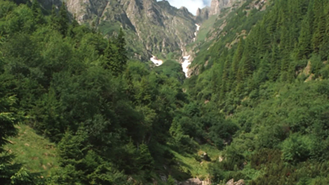 O turistă a murit în Masivul Bucegi