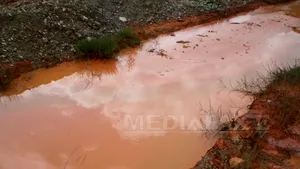 Şef Garda Naţională de Mediu: Poluările cu metale grele de la Bălan - un adevărat dezastru ecologic - FOTO
