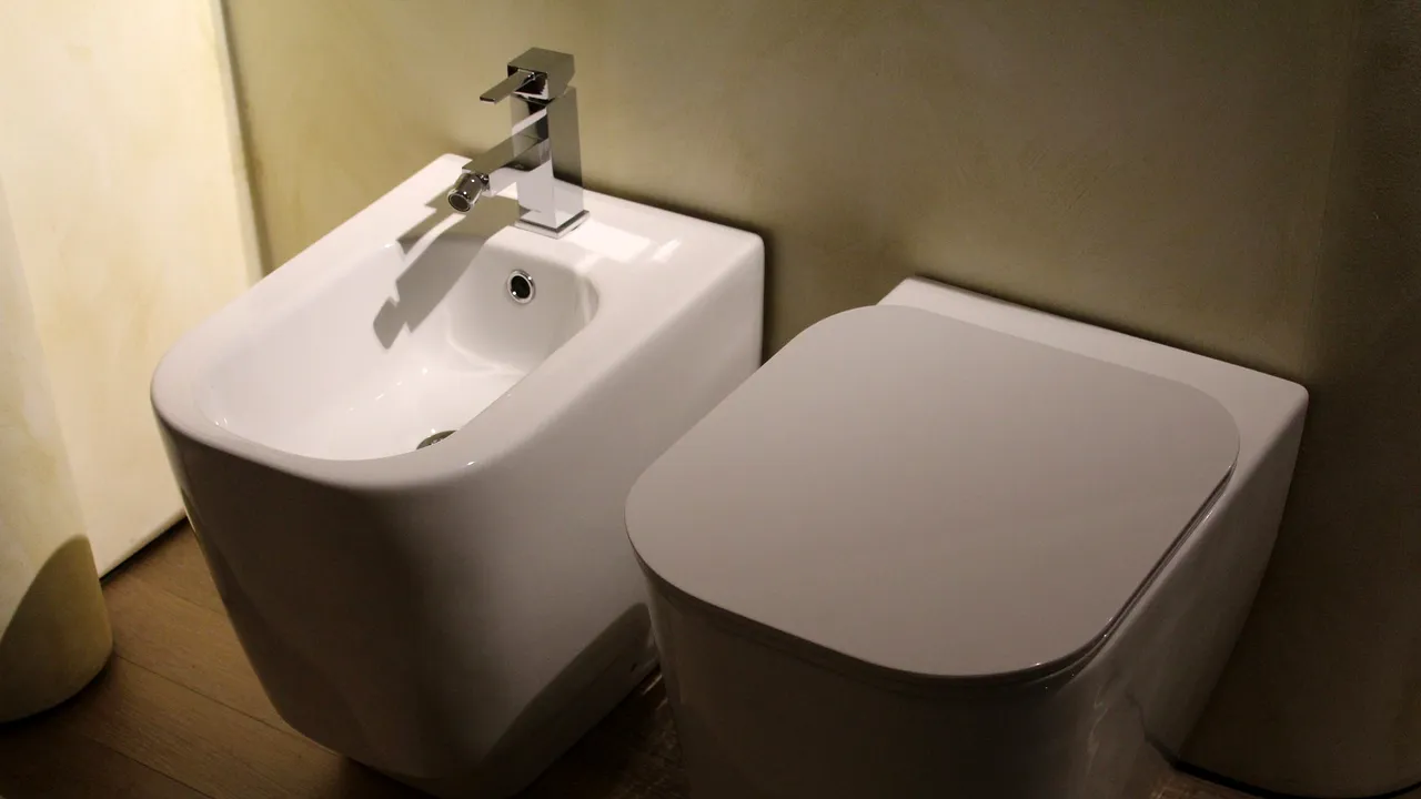 Vânzările de bideuri au crescut pe fondul crizei de hârtie igienică