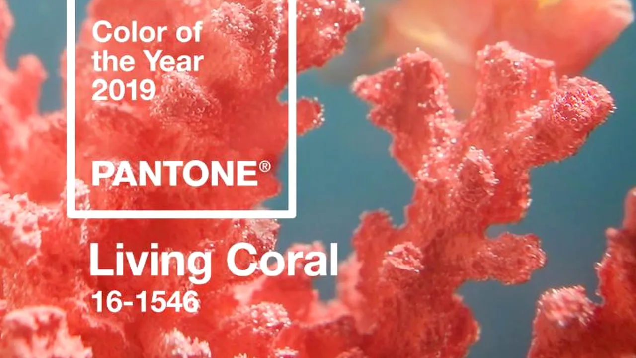 Compania Pantone, acuzată că ar fi furat ideea de promovare a culorii anului 2019