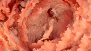 Rihanna, sexy şi provocatoare într-o reclamă - VIDEO