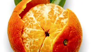 Coaja de mandarină, eficientă în tratarea unor forme de cancer