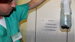 Bărbat în stare gravă după ce a fost muşcat de o viperă în timp ce se afla la cules de mere - FOTO