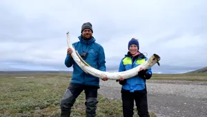 Cercetătorii au recuperat cel mai vechi ADN din istorie: 1.2 milioane de ani