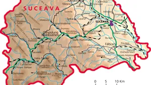 BEJ Suceava a atribuit 11 din cele 14 mandate