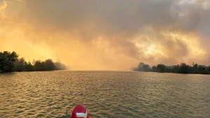 Incendiu de vegetaţie manifestat pe 10 hectare în Delta Dunării