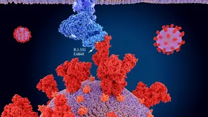 INSP: Aproape 2.000 de infectări cu noile tulpini ale coronavirusului, confirmate până în 23 mai