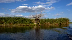 Planul de management pentru Rezervația Biosferei Delta Dunării, pus în dezbatere publică