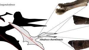 Descoperire epocală a cercetătorilor de la UBB Cluj: reptilă zburătoare care trăia în Transilvania