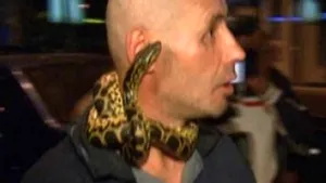 La spital, cu şarpele în jurul gâtului. Un bărbat a venit la urgenţe cu animalul de companie după el - VIDEO