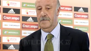 Del Bosque va antrena naţionala Spaniei până la Cupa Mondială din 2014
