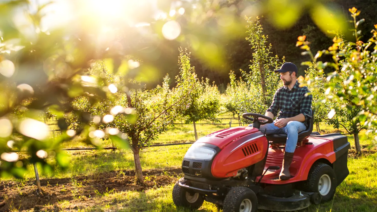 Soluţii actuale pentru eficienţă în agricultura românească