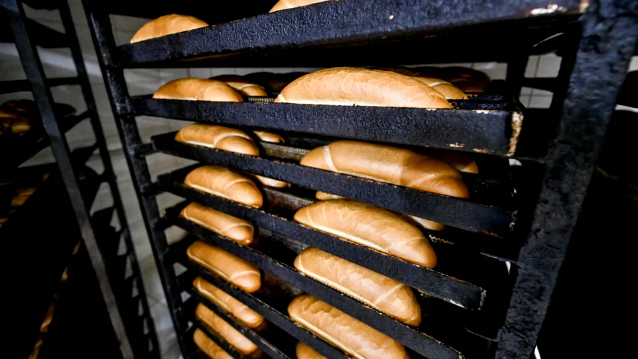 Afacerea românească de 100 de milioane de euro care intră în concordat: Lidas spune că e „strategic”