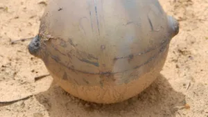 O sferă metalică cu diametrul de 35 de centimetri s-a prăbuşit în Namibia