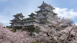 Mai multe circuite din Japonia în perioada maximă de înflorire a cireșilor de anul viitor sunt deja rezervate integral. „2026 conturează un turist român mai curios”