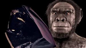 Unelte vechi de 1,2 milioane de ani ce au fost realizate de o specie umană necunoscută, descoperite în Etiopia 