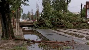 Pompierii au intervenit în 56 de localităţi din 17 judeţe pentru înlătuarea efectelor vremii