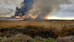 Incendiu de vegetaţie şi stuf izbucnit în Delta Neajlovului. Ard circa 60 de hectare