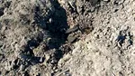 Crater, resturi de dronă și un incendiu la granița cu Ucraina. Două incidente în Republica Moldova
